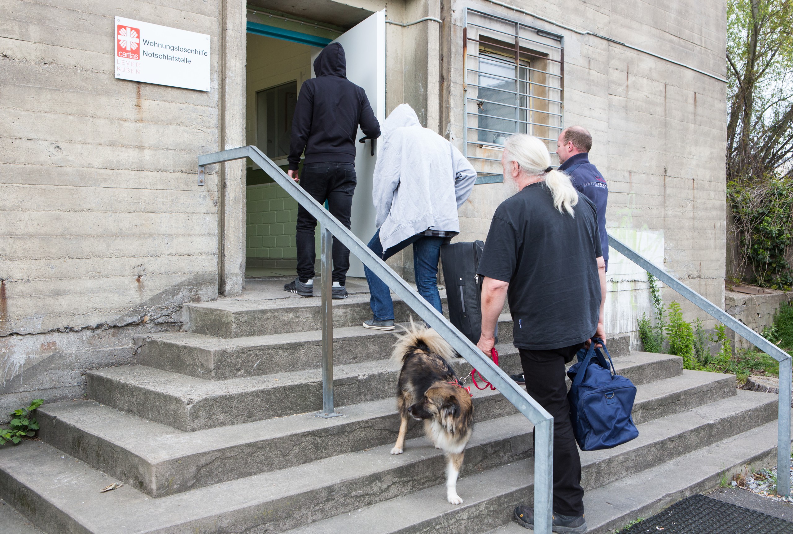 Mehrere Personen und ein Hund gehen die Eingangstreppe zur Notschlafstelle hoch.